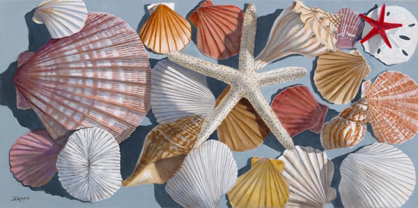 Sea Shells II Sea Shells II